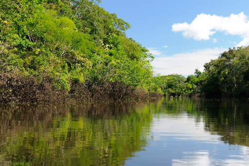 Río Amazonas