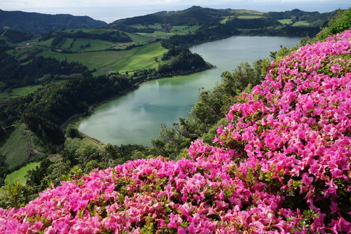Furnas