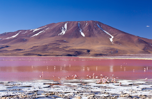 Laguna Colorada de Uyuni