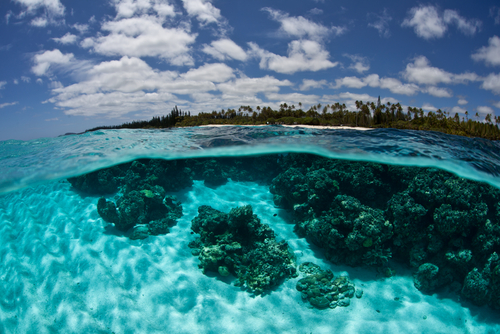 Banco de coral en Nueva Caledonia