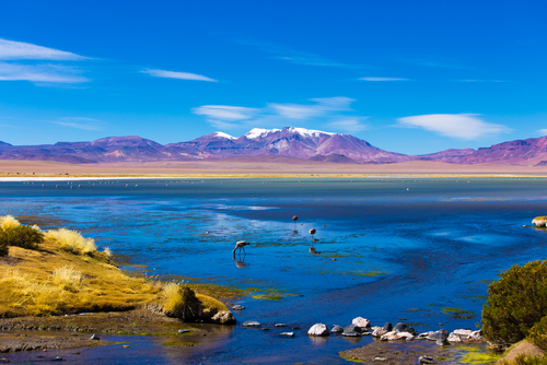 Atacama