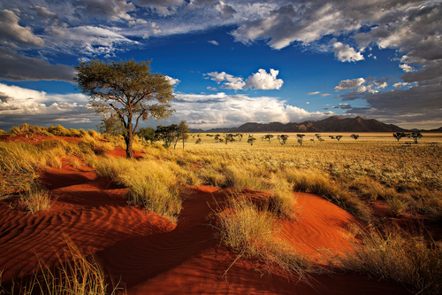 Ecoturismo en las dunas de Namibia