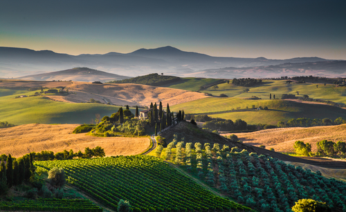 Paisaje de viñedos en la Toscana de Italia