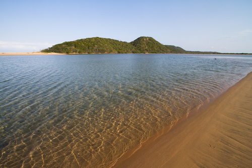 7 playas del mundo donde encontrarás tiburones 7 playas del mundo donde encontrarás tiburones