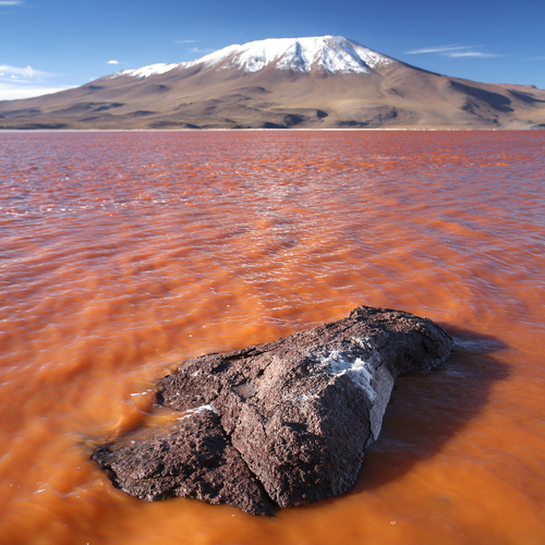 Laguna Colorada