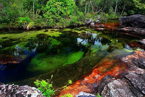 Caño Cristales