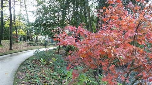 Parque Cristina Enea en Donosti