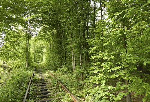 Túnel del Amor en Ucrania