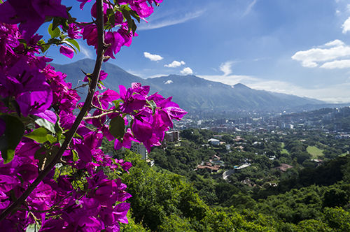 Vista de Caracas