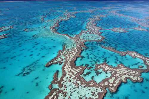 La Gran Barrera de Coral, una impresionante obra de la naturaleza