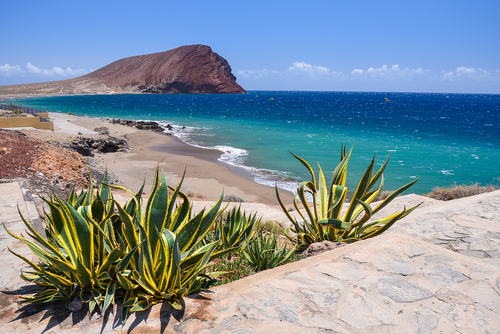 Playa El Médano