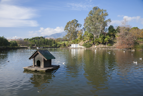 Lago en el Parque de la Paloma