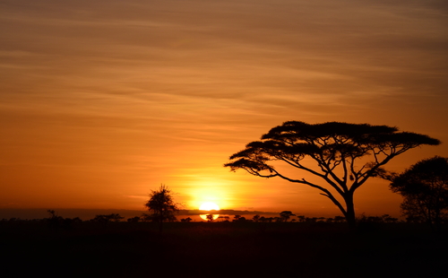 Atardecer en el Serengueti