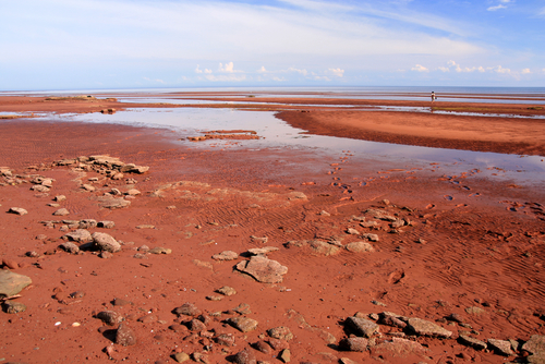 Arena roja en Red Sands Shore