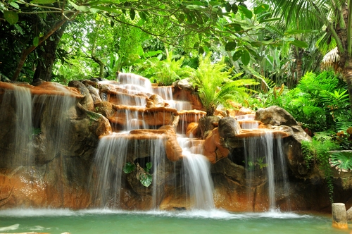 Ecosistema de Costa Rica