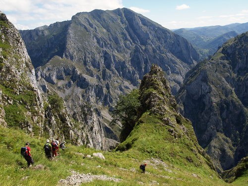 Picos de Europa
