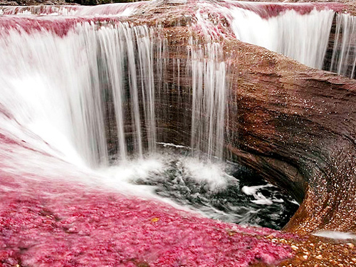 Cascada en Caño Cristales
