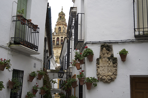 Calleja de las flores de Córdoba