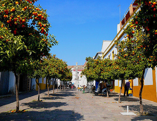 Calles de la judería de Córdoba