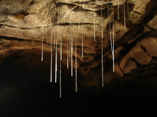 Cuevas de Waitomo