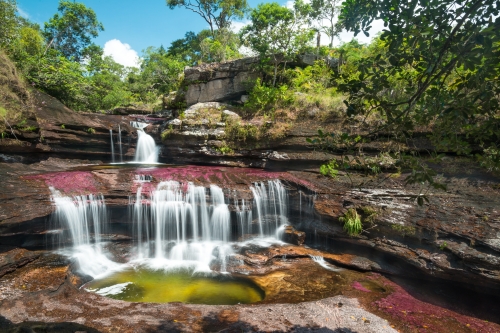 Colores en Caño Cristales