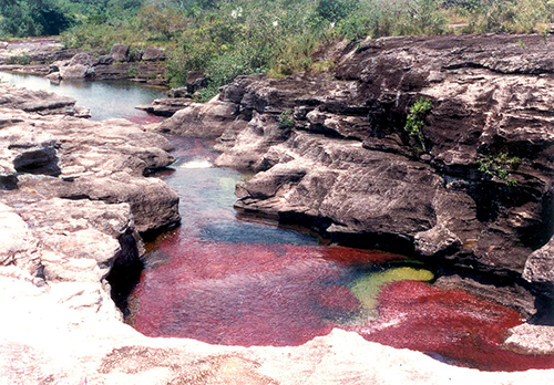 Poza en Caño Cristales