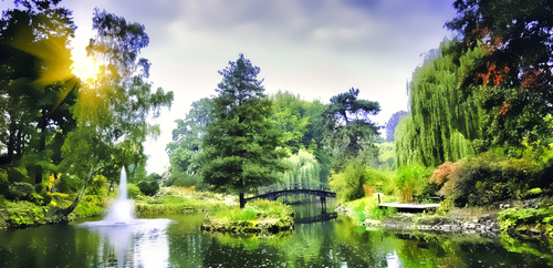 Jardín botánico japonés