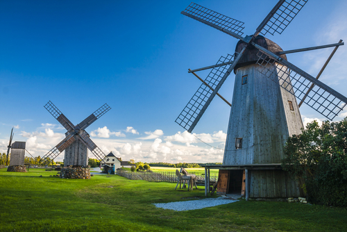 Molinos de Angla en Saaremaa