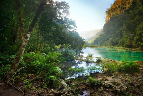 Parque Semuc Champei en Guatemala