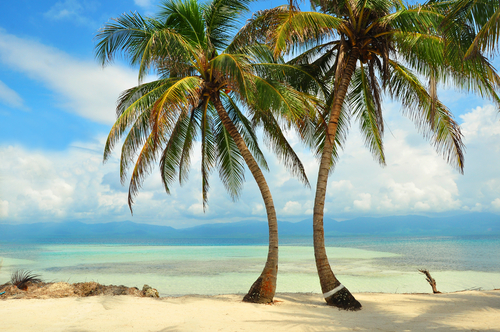 Islas de San Blas, un idílico lugar en el Caribe Islas de San Blas, un idílico lugar en el Caribe