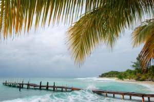 Utila
