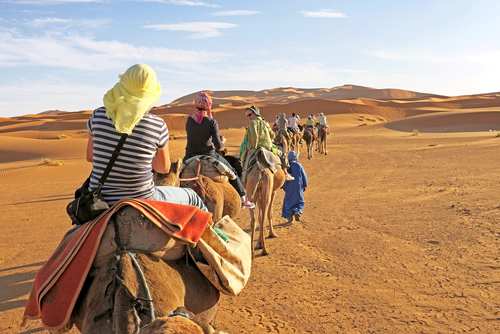 Camellos en el desierto del Sahara