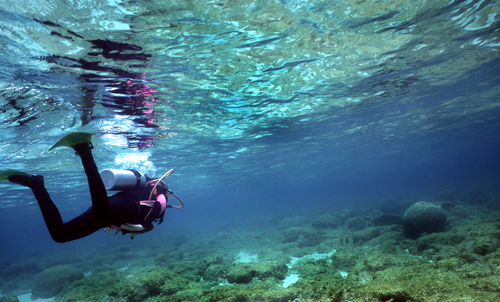 Submarinista en Utila