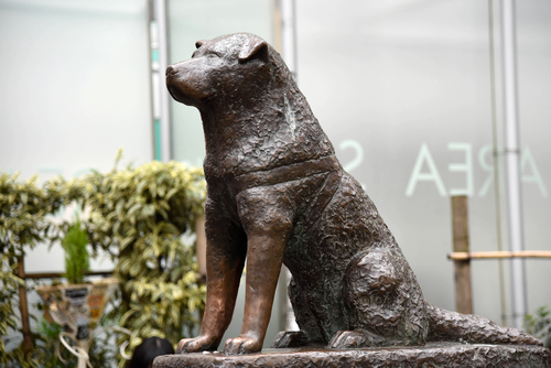 Estatua de Shibuya en Tokio