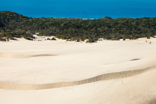Dunas en Isla Fraser