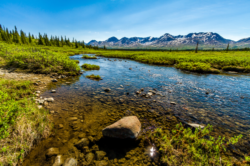 Parque Nacional Denali en Alaska