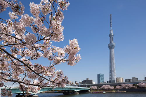 Vista del Tokyo Sky Tree