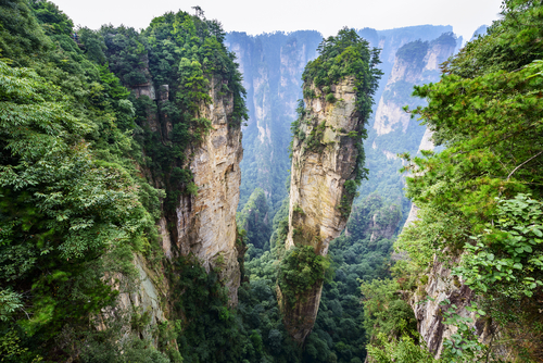 Parque Zhangjiajie