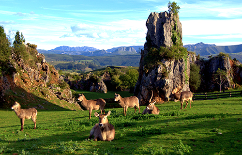 Parque de Cabarceno en Cantabria
