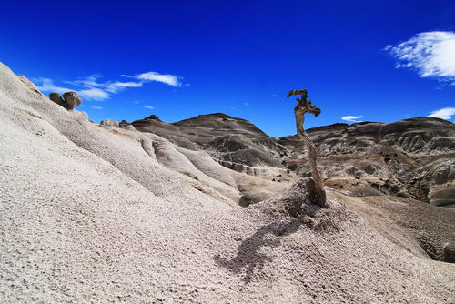 Paisaje lunar en los Bosques Petrificados