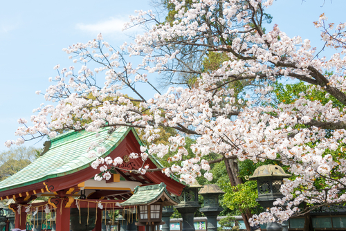 Ueno Park en Tokio