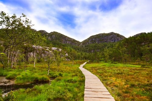 Camino hacia el Preikestolen
