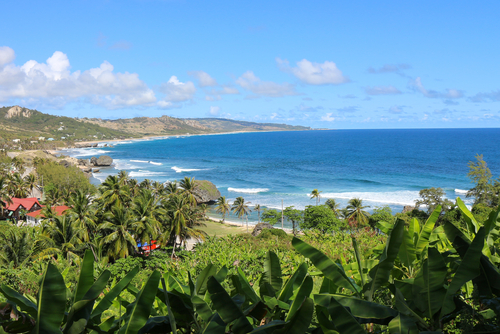 Bahía de Bathsheba en Barbados