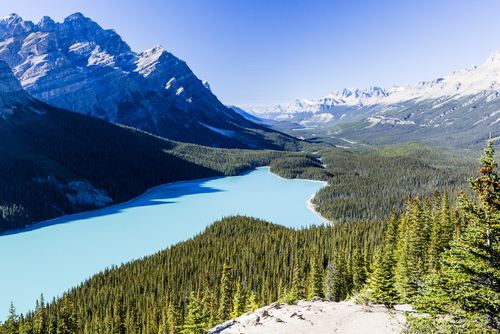Lago Peyto en Canadá