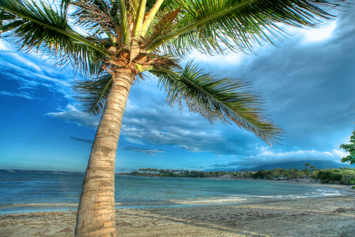 Playa en la Riviera Maya