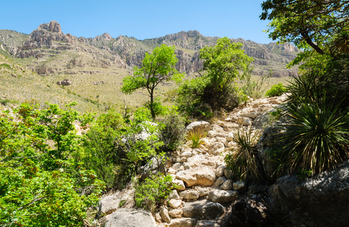 Cañón de Guadalupe en México