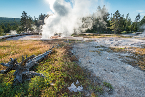 Géiseres en Yellowstone