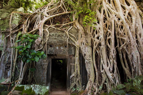 Templo de Ta Prohm en Camboya