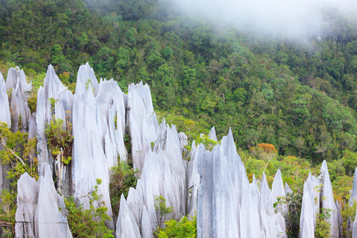 Parque Gunung Mulu en Malasia
