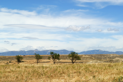 Paisaje de Almudevar